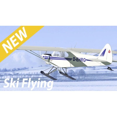 Aerofly RC10 na DVD pro Win8.1/10/11