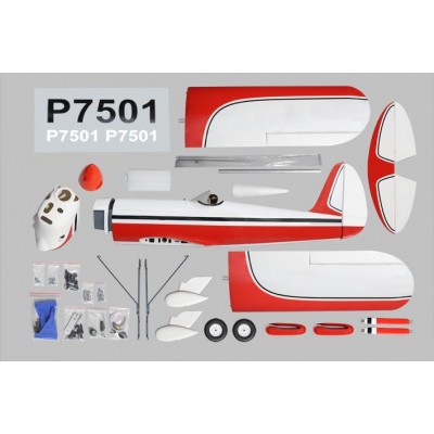 PH122 Ryan STA 1800mm 1:5 ARF