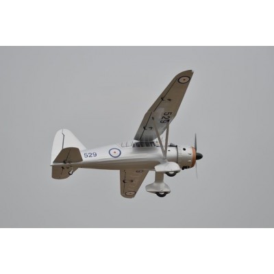 PH169 Westland Lysander 3200mm ARF