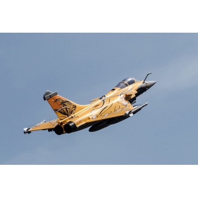 Dassault Rafale 974mm s EDF 80mm