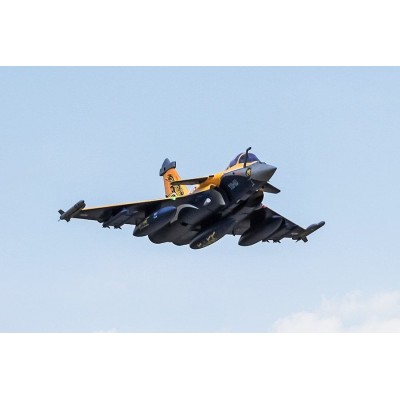 Dassault Rafale 974mm s EDF 80mm