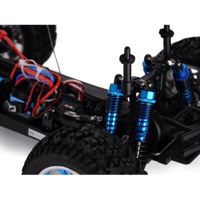 Amewi RC auto Crazist Pro Monster Truck Brushless 1:10 4WD RTR