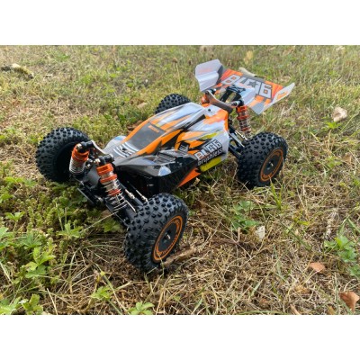 DF models RC auto RC buggy BL06- Brusshless 1:14