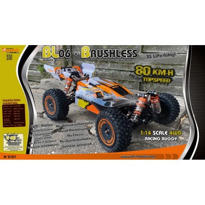 DF models RC auto RC buggy BL06- Brusshless 1:14