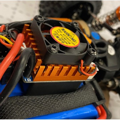 DF models RC auto RC buggy BL06- Brusshless 1:14