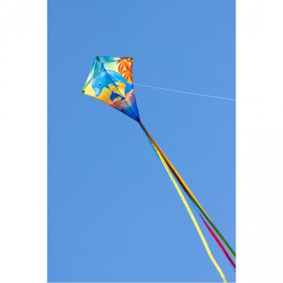 Invento drak Eddy Dolphin Sunset