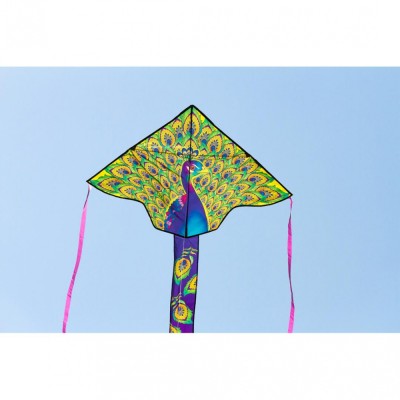 Invento drak Simple Flyer Peacock