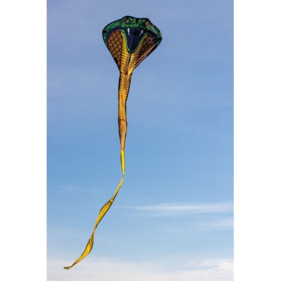 Günther drak Cobra