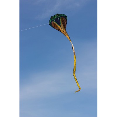 Günther drak Cobra