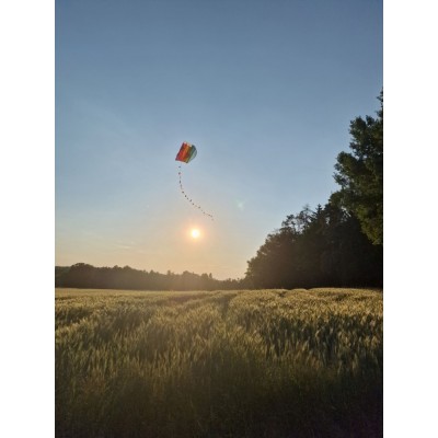 Günther drak Mini Parafoil