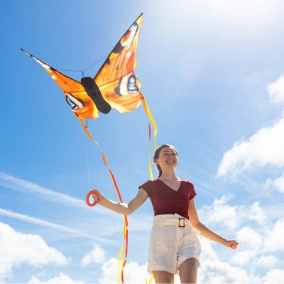 Invento drak Motýl Kite Peacock L