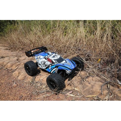 DF models RC truggy TW-1 Truggy 5.1 brushed 1:10XL RTR