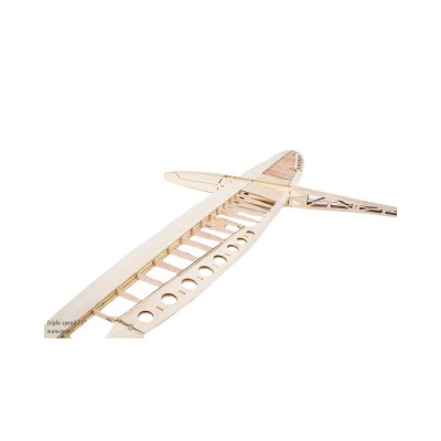 Aero-Naut Stavebnice letadla Triple Speed