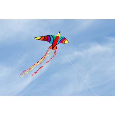 Drak Tropical Bird 150 x 75