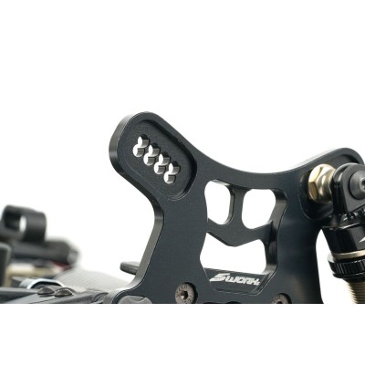 SWORKz S35-5e 1/8 PRO Brushless Power Buggy stavebnice