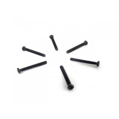 Šroub s půlkulatou hlavou 2,5x20 (6 ks)