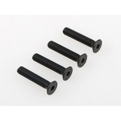 Šroub se záp. hlavou (5x25) 4ks 1/5