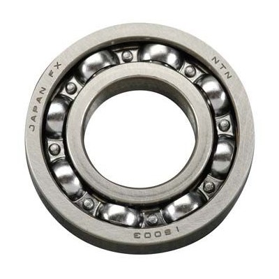 Zadní kuličkové ložisko