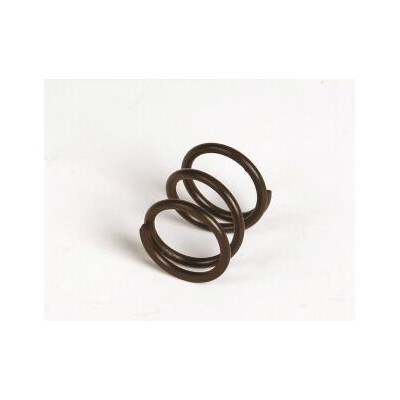 Servo saver pružina (1 ks.)