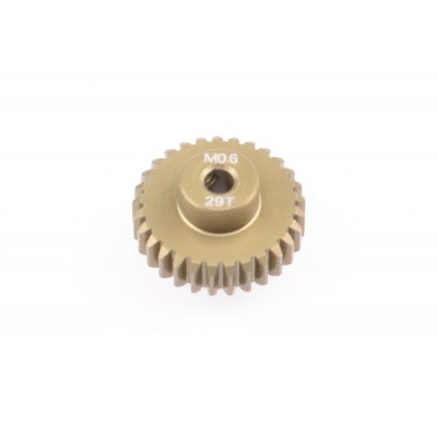 Pastorek 29 zubů (modul 0,6)