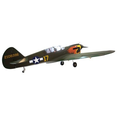 P-40N Warhawk 2,03m (Zatahovací podvozek) Parrothead
